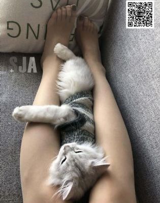 亚洲水中色一区蜜桃_剧情片在线观看完整版