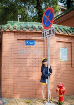 幸福结局美剧在线观看_DVD高清视频播放